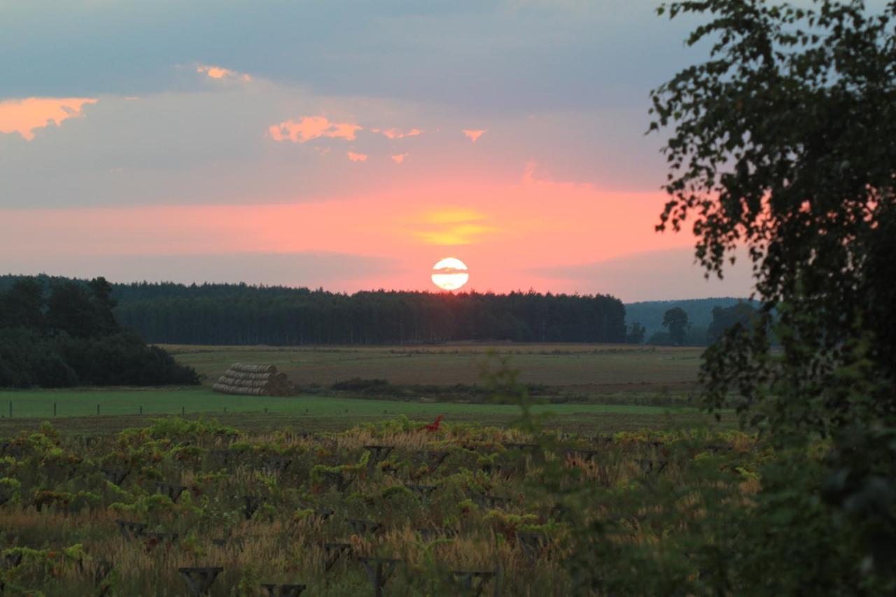 Winnica Debogora Dobiegniew Exterior foto
